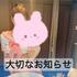 ひなのです?