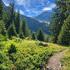 ありがとう??