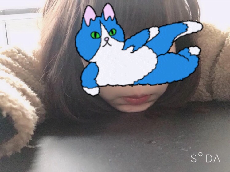 先日のお礼＆出勤