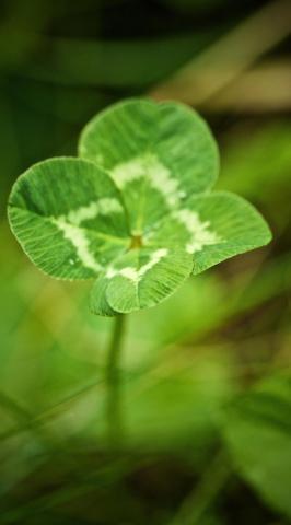 素敵なお兄さんへ