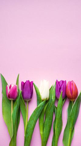 NYのブルブルさま??