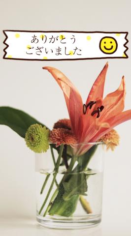 ヴェネチアンのお兄さん