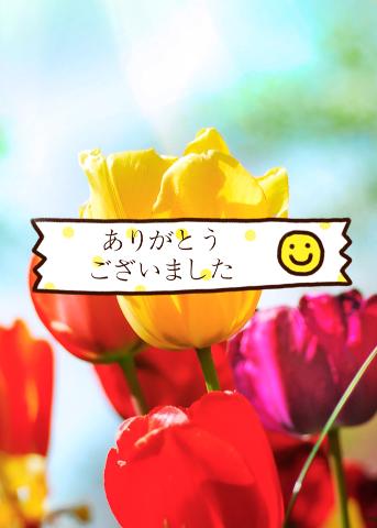 かぼちゃの馬車さま