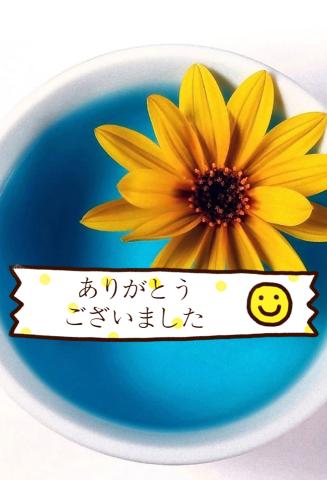 NYのお兄さんへ