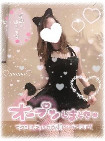 君の猫??