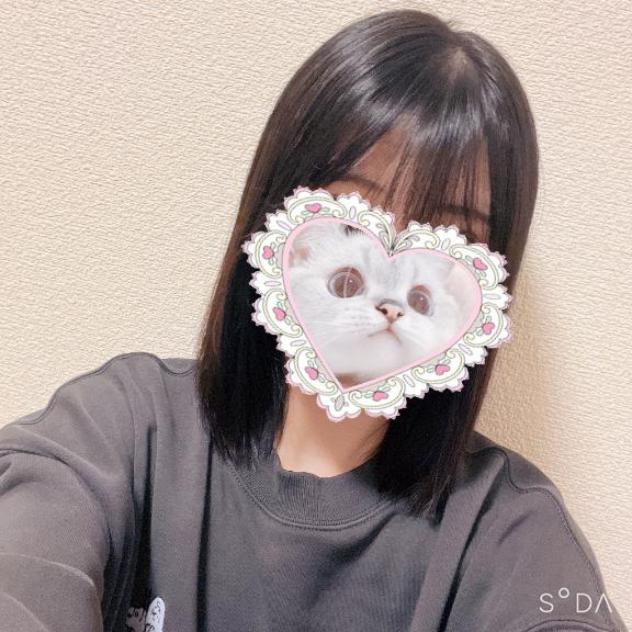 よろしくです( )?