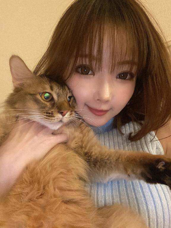 ペット紹介