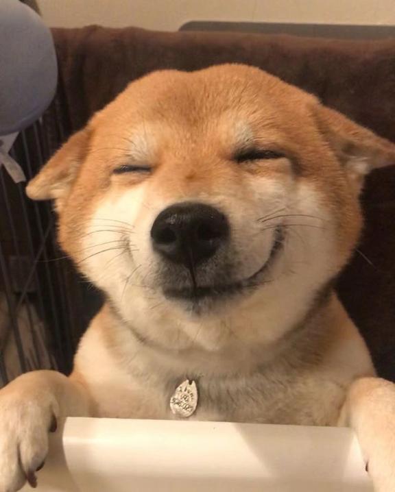 癒し