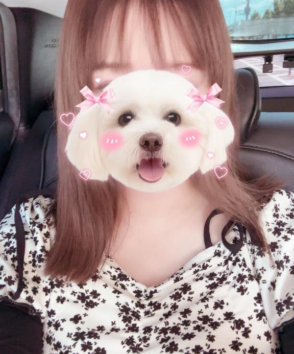 今から??
