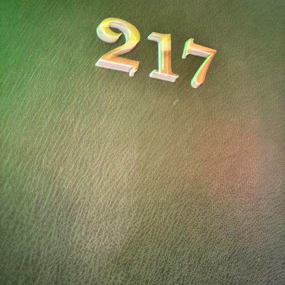 お礼?ベネチア217