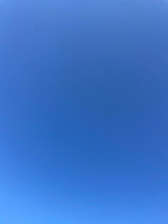 お礼?と出勤報告だよ???