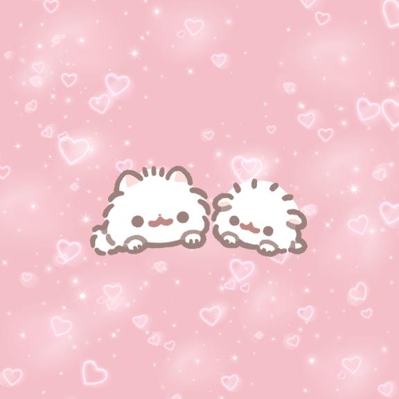 ニューパレスのお兄さん!!??