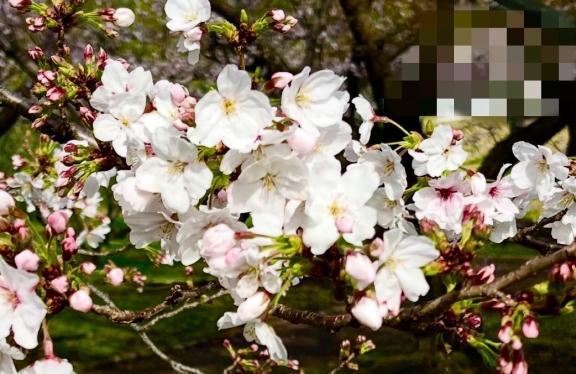 おはようございます♪