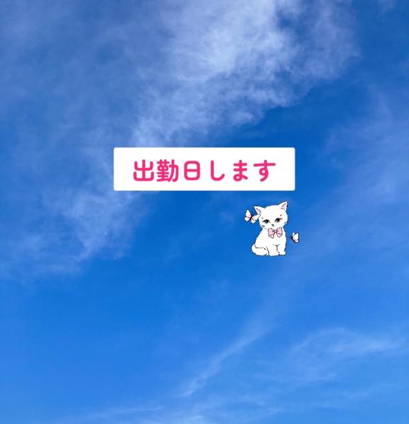 12日(金)19:00~ 13日(土)10:00~