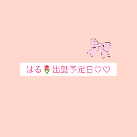 来週です??