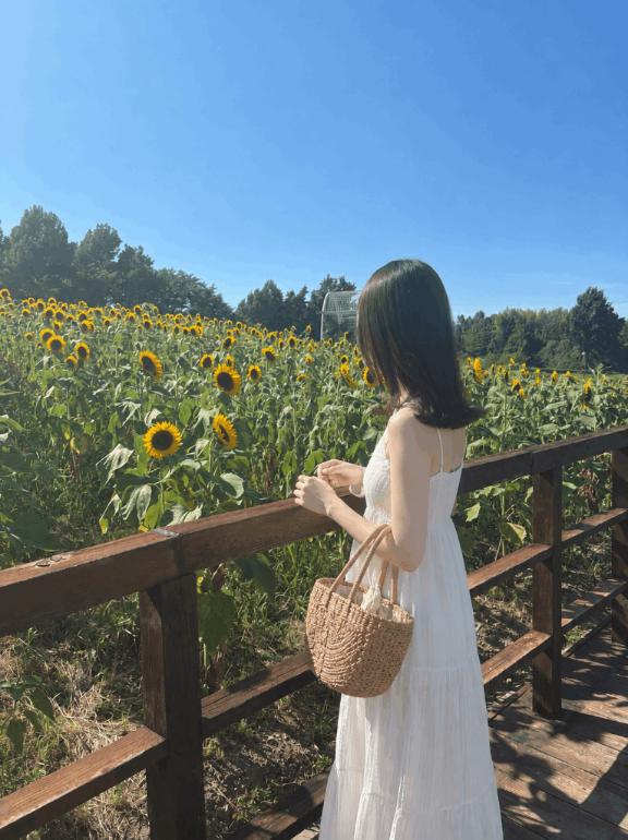 夏らしいこと