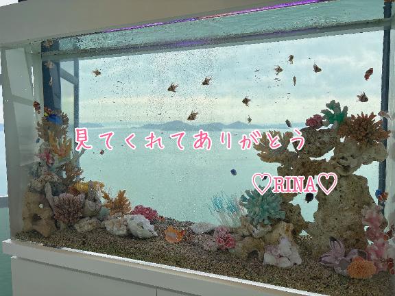 2回目?