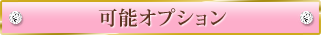 可能オプション