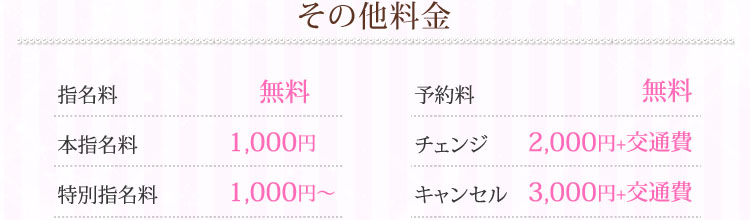 その他料金
